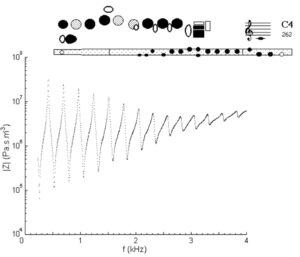 11.1 The world of wind instruments – Euphonics